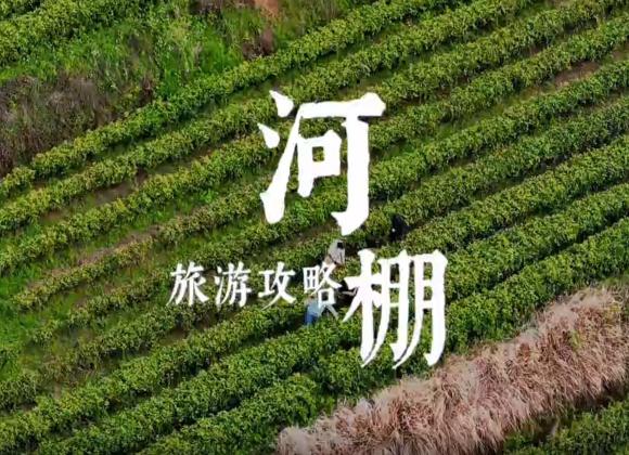 【游舒城】河棚鎮(zhèn)茶旅攻略 河棚鎮(zhèn)茶旅攻略來(lái)啦